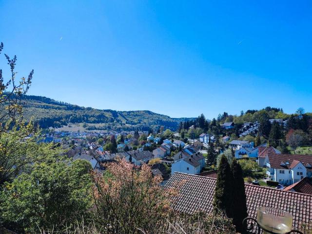 PROVISIONSFREI ✅ Exklusives Wohnen mit Albpanorama!