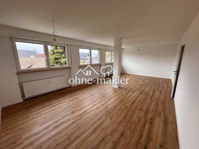 Provisionsfrei Helle, großzügige Wohnung in ruhiger Lage  frisch renoviert + bezugsfertig