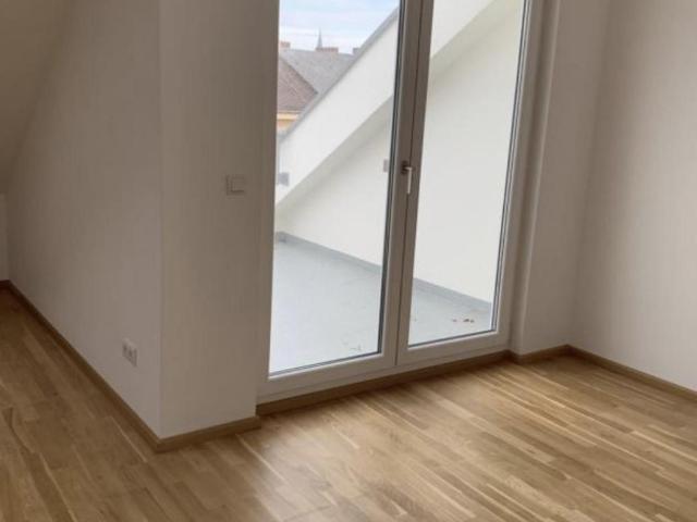 Provisionsfreie Neubauwohnung im Dachgeschoss