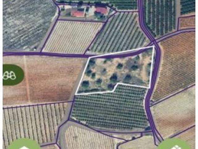PROYECTO ALBERGUE DE ECO DE TURISMO RURAL ALOJAMIENTO PARA 80 PERSONAS Y SALA DE CONVENCIONES