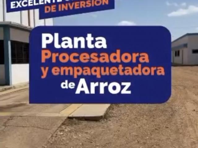 Procesadora de Arroz 100 % en Producción