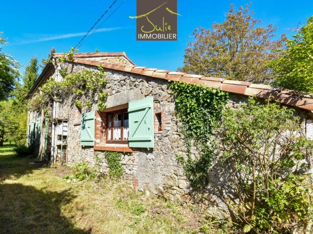 Proche CERIZAY Jolie maison en pierres rénovée 3 chambres, Jardin de 1885 m2