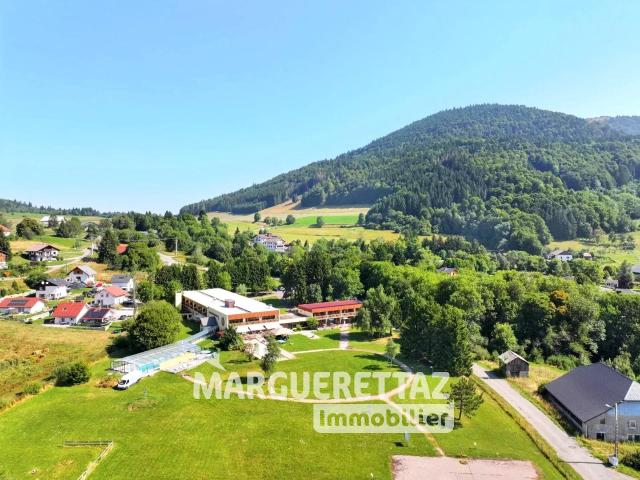 Proche Genève Au Coeur Des Alpes Du Léman Opportunité D'. 3500m² Habère Poche