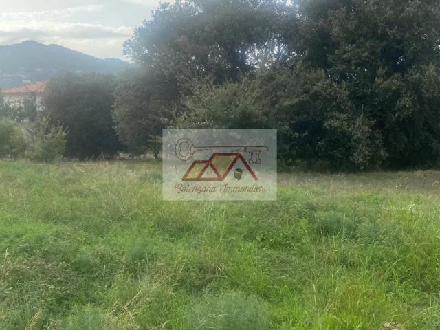 Proche de Calvi. Beau terrain à bâtir de 1 105 m² hors lotisseme