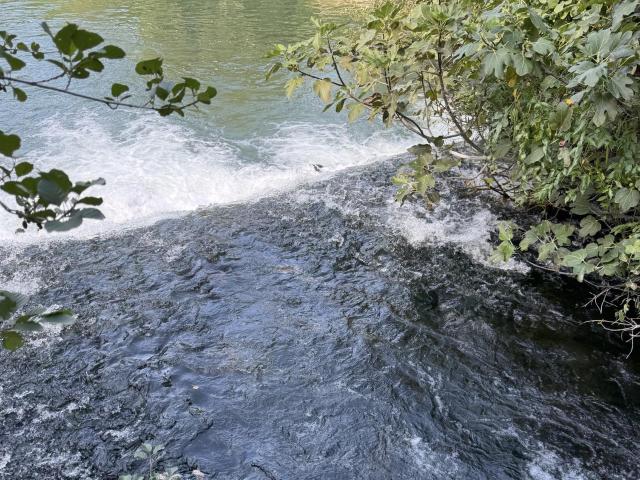 Proche De L'isle Sur La Sorgue, Une Propriété Au Fil De L'ea. 1300m² L'Isle sur la Sorgue