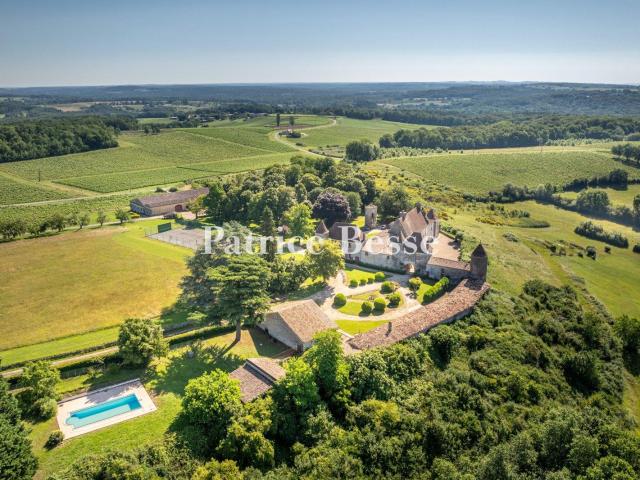 Proche de St Émilion, un logis médiéval inscrit MH avec pisc. 800m² Castillon La Bataille