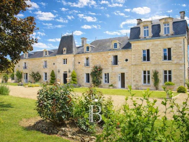 Proche Loudun Demeure XVIIIe et XIXe rénovée Grand jardi. 323m² Loudun