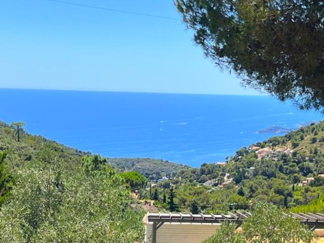Proche MONACO, grande terrain, possib. construction 600m²