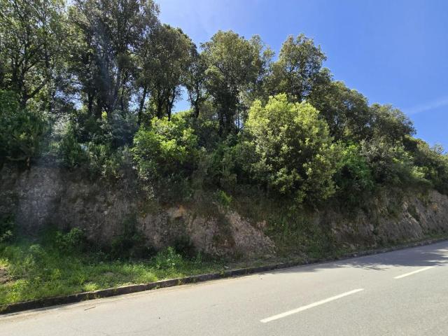 Proche Sartene à vendre terrain de 2032 m2