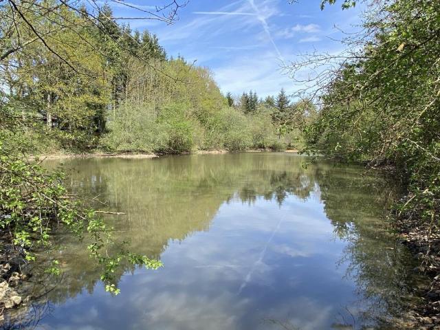 Proche Verneuil sur Avre, Terrain de 44010 m2 env avec un étang