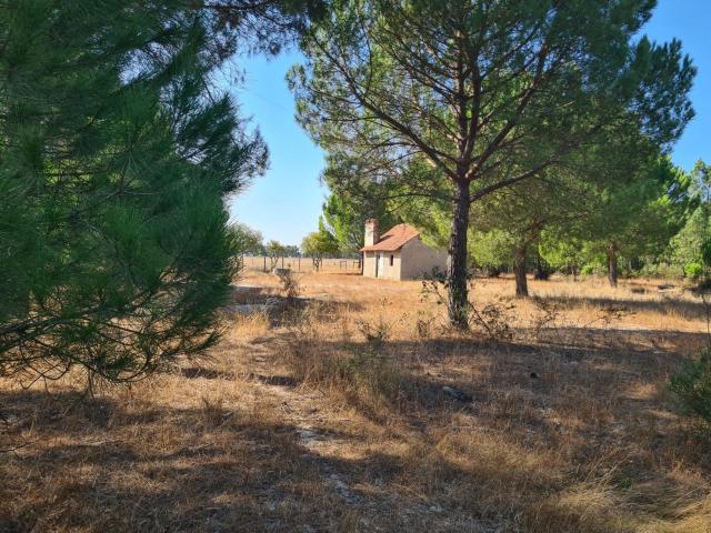 Procura um refúgio no Alentejo, com espaço, tranquilidade e. 42m² Grândola e Santa Margarida da Serra