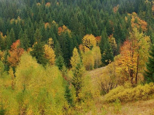 Продаж земельної ділянки, Хутір Сіда