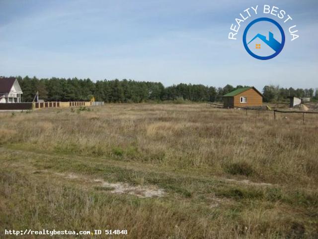 Продаж земельної ділянки, Світязь