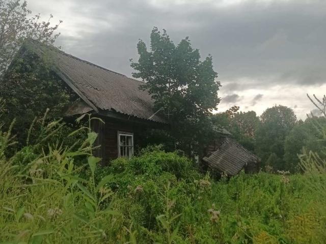 продажа дом Александровское деревня