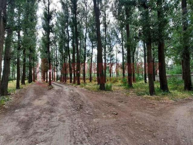 продажа дом Астрахань Армейская улица, 61