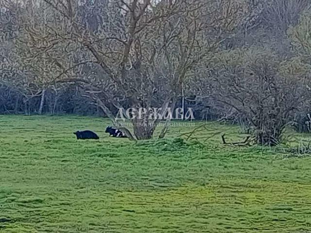 продажа дом Дмитриевка село