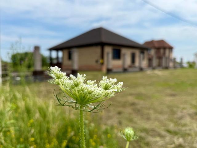 продажа дом Красный Остров посёлок