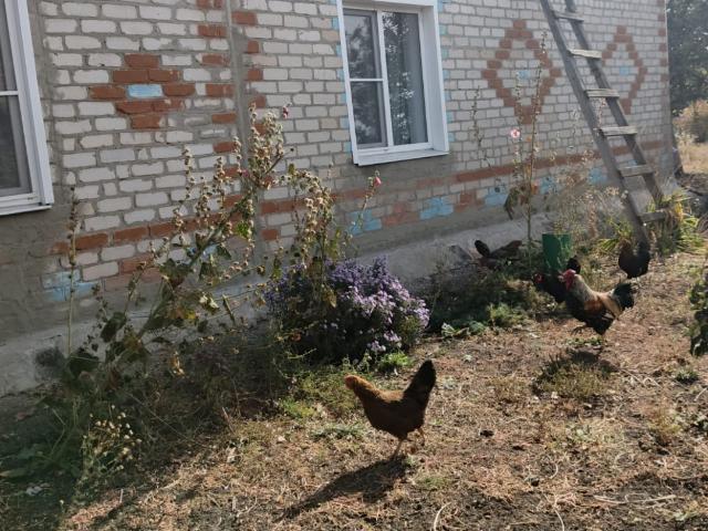 продажа дом Песчаный посёлок Новая ул 5,1