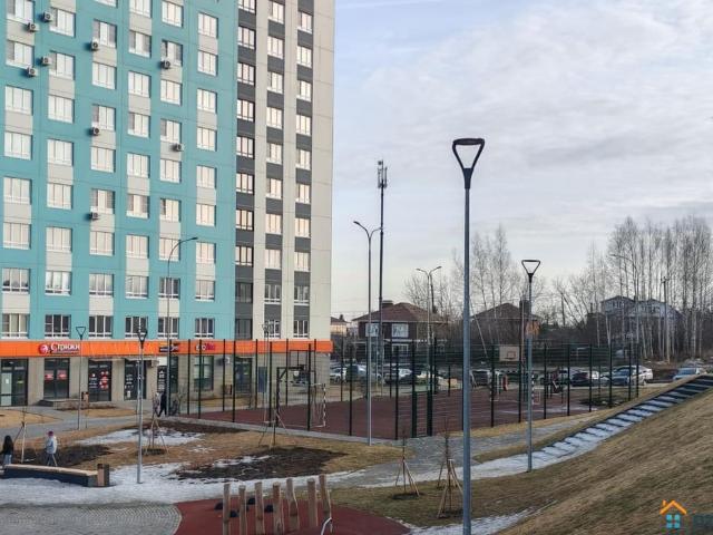 продажа жилая деревня Анкудиновка улица Русская, 14