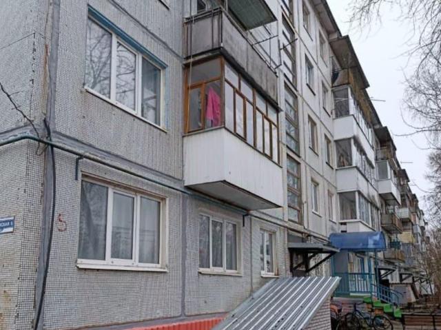 продажа жилая деревня Борки улица Заверяжская