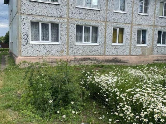 продажа жилая деревня Чернятино улица Мира