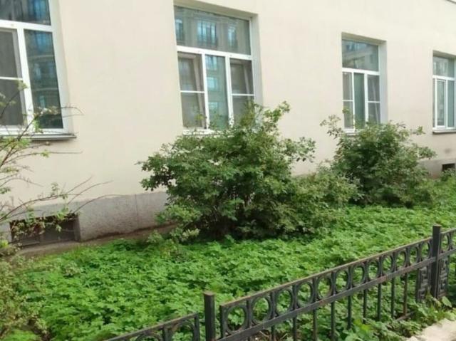 продажа жилая Санкт Петербург Виленский переулок, 17/5