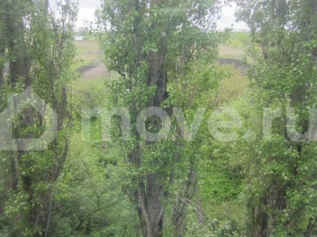 продажа жилая село Плеханово ул. Корсакова, 9