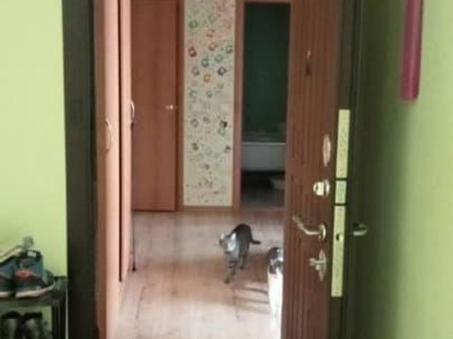 продажа жилая поселок Горноправдинск Киевская улица, 11А