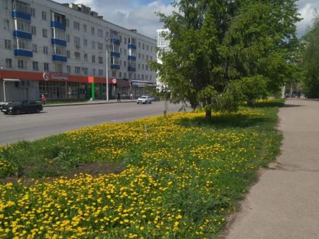 продажа жилая Уфа улица Гафури, 48