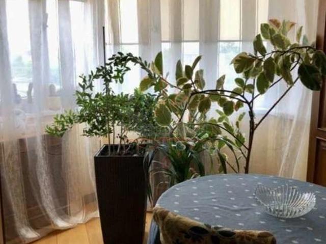 продажа квартира Шебекино 50 лет Октября улица, 11