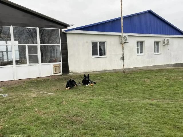 продажа коттедж