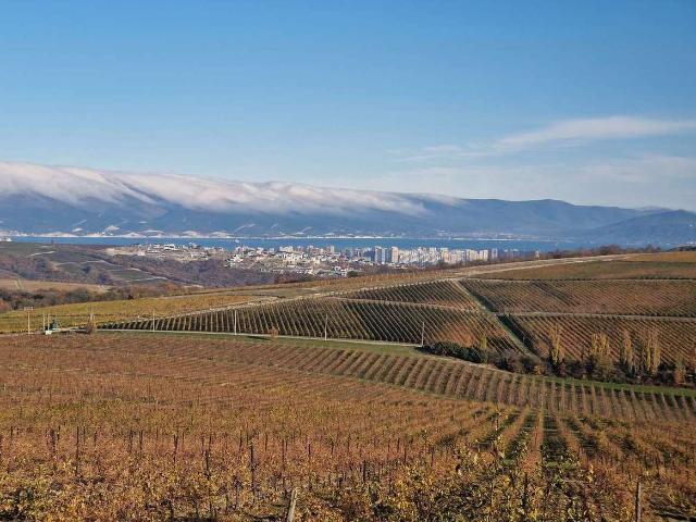 продажа участок Федотовка село Виноградная улица