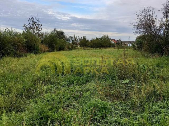 продажа участок Трудобеликовский ул. Полевая