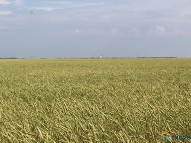 продажа загородная Адыгейск улица Ким