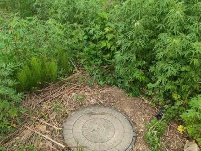 продажа загородная Артем Заречная улица