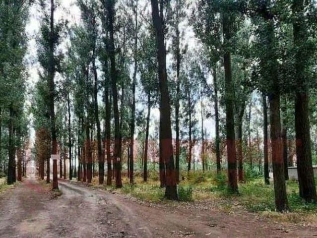 продажа загородная Астрахань улица Армейская, 61