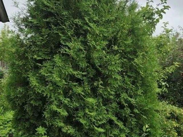 продажа загородная Асбест Советская улица
