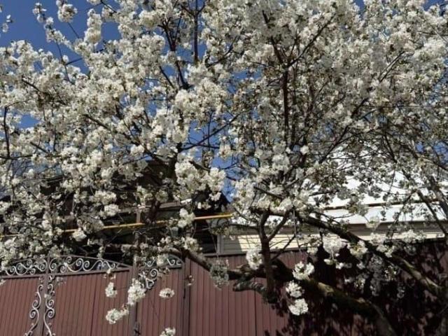 продажа загородная Азов Красный переулок