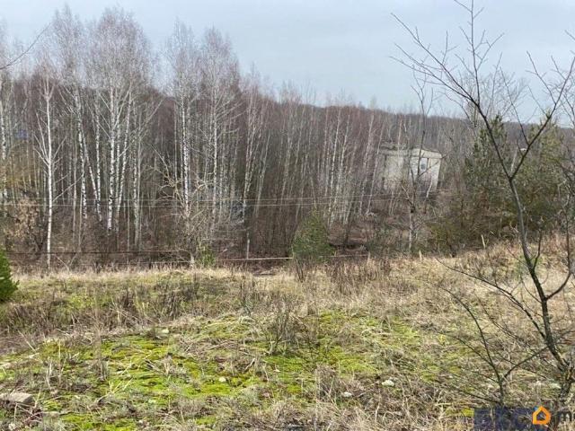 продажа загородная Бор Октябрьская улица, 1