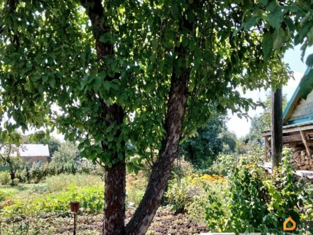 продажа загородная Балахна Садовая улица