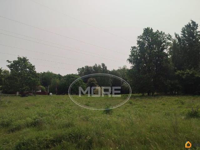 продажа загородная Балтийск проезд Смородиновый