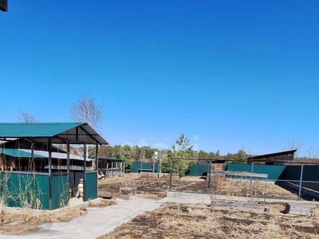 продажа загородная Белогорск Звездный переулок, 1