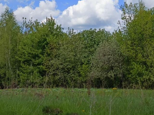продажа загородная Донской Трудовая улица