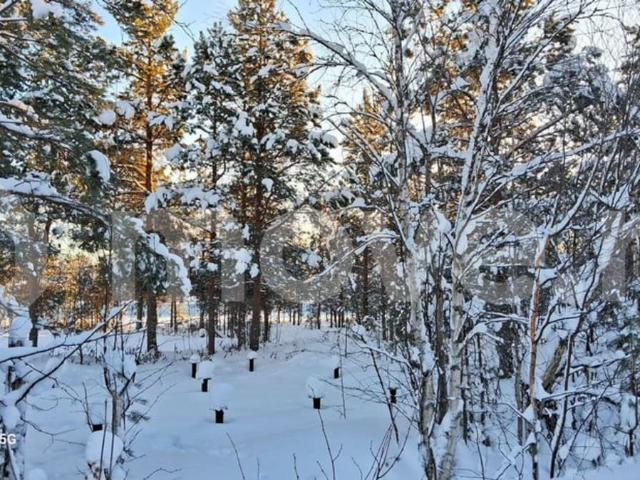 продажа загородная дачный поселок Лайское ул. 11 я ул