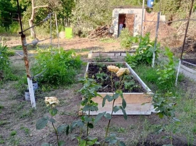 продажа загородная дачный поселок Маяк улица 23 я Линия