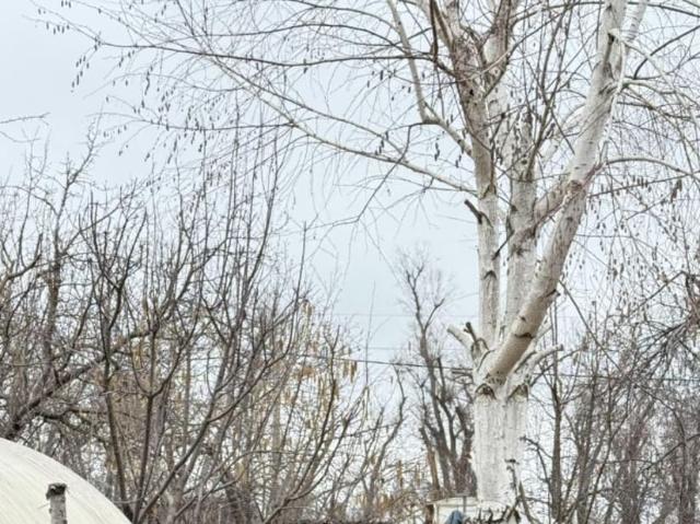 продажа загородная дачный поселок Маяк улица 35 я Линия, 1357