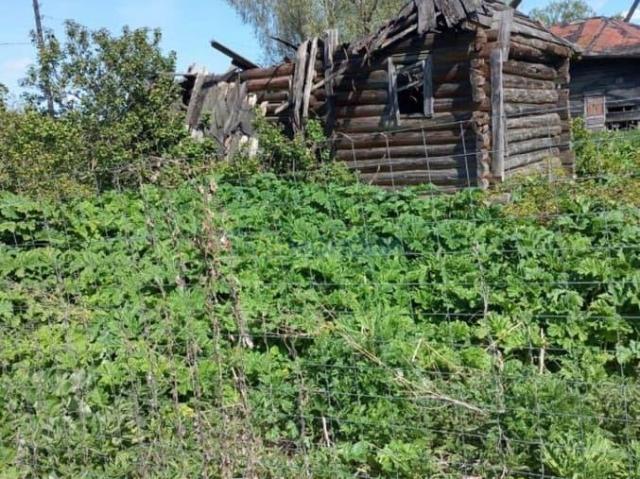 продажа загородная деревня Турково улица Свободы