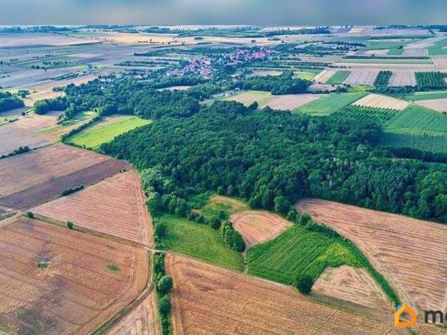 продажа загородная деревня Ушаковка Зеленая улица, 113