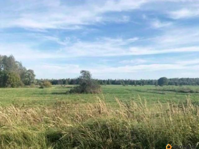 продажа загородная деревня Вешки улица Фокина