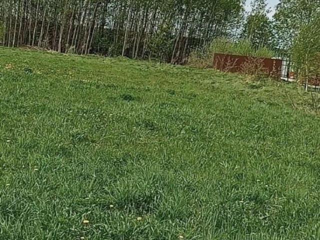 продажа загородная деревня Волковойно улица Новая